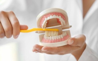 Перечисление основных элементов правильного стоматологического ухода
