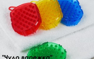 Как гулять с двумя собаками одновременно: советы и хитрости