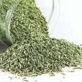 Семена фенхеля